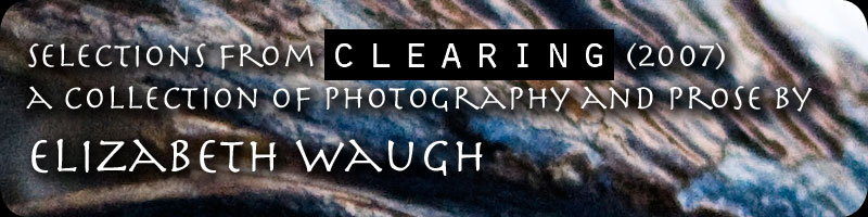 A collection of photography and prose by Elizabeth Waugh