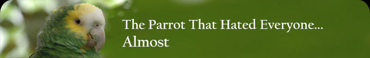 The Parrot That Hated Everyone… Almost