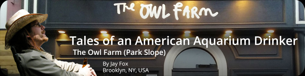 Tales of an American Aquarium Drinker - The Owl Farm, Park Slope